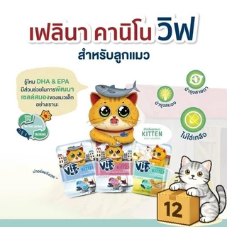 ( ยกโหล 12 ซอง ) VIF Felina Canino เฟลิน่า คานิโน่ เปียกแมววิฟ อาหารแมว ครบสูตร เปียกแมว