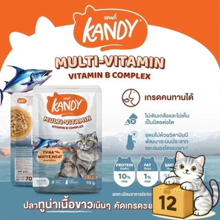 ( ยกโหล 12 ซอง ) Kandy แคนดี้ อาหารแมว เปียกแมว ไม่ใส่เกลือ จากปลาเนื้อขาว โปรตีนสูง ลูกแมวและแมวโต