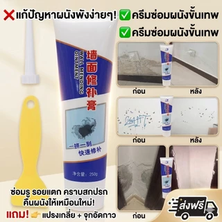365mallshop (c90) ครีมฉาบ อุดรอยร้าวผนัง กาวซ่อม250g (เครื่องมือและอุปกรณ์ปรับปรุงบ้าน)