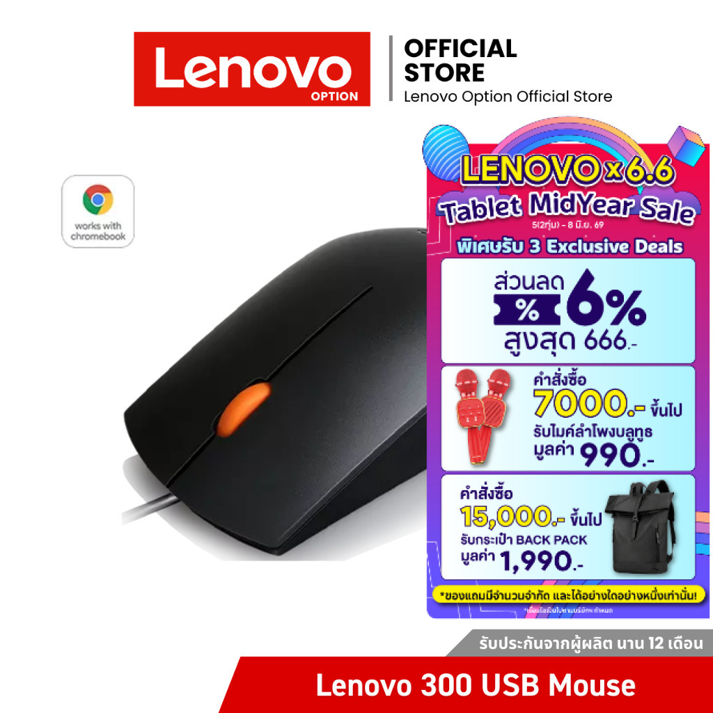 Lenovo 300 USB Mouse (GX30M39704)