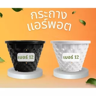 กระถางแอร์พอต Air Pot เบอร์ 12 กระถางมีรู เร่งราก สีดำ / สีขาว