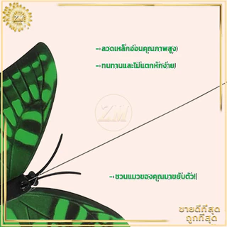 ของเล่นแมวไฟฟ้า ของล่อแมว ของเล่นแมวปั่นแมลงปอและนกฮัมมิ่งเบิร์ด หมุนอัตโนมัติ ลดความเครียดและความเบื่อหน่ายได้
