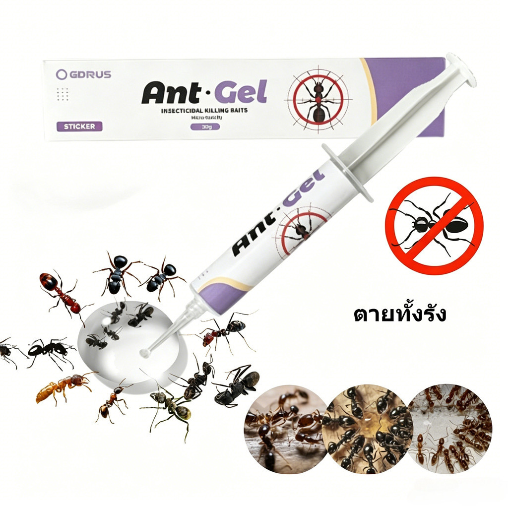 เจลกำจัดมด antiant หยดเดียวตายยกรัง ขนาด 20 30 กรัม