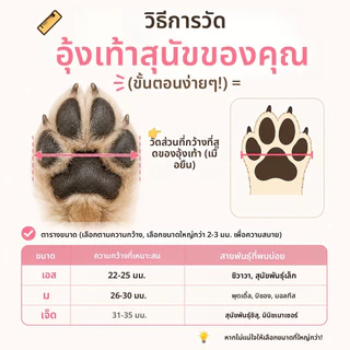 ชุดถุงเท้าสุนัขกันลื่นน่ารักกันอุ้งเท้าพิมพ์ลายหมีสําหรับสุนัขตัวเล็ก เท็ดดี้ บิชอน มอลเตส