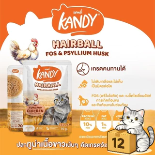 ( ยกโหล 12 ซอง ) Kandy แคนดี้ อาหารแมว เปียกแมว ไม่ใส่เกลือ จากปลาเนื้อขาว โปรตีนสูง ลูกแมวและแมวโต