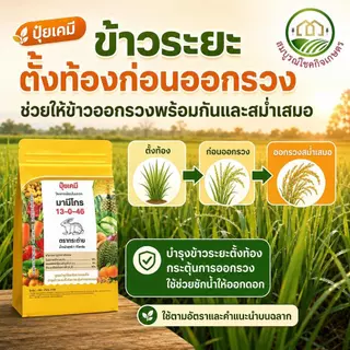 (ยกลัง 5/10 กก) มามีโกร 13-0-46 ปุ๋ยเกล็ด ตรากระต่าย ละลายน้ำได้ดีเยี่ยม ดูดซึมได้ทั้งทางรากและทางใบ