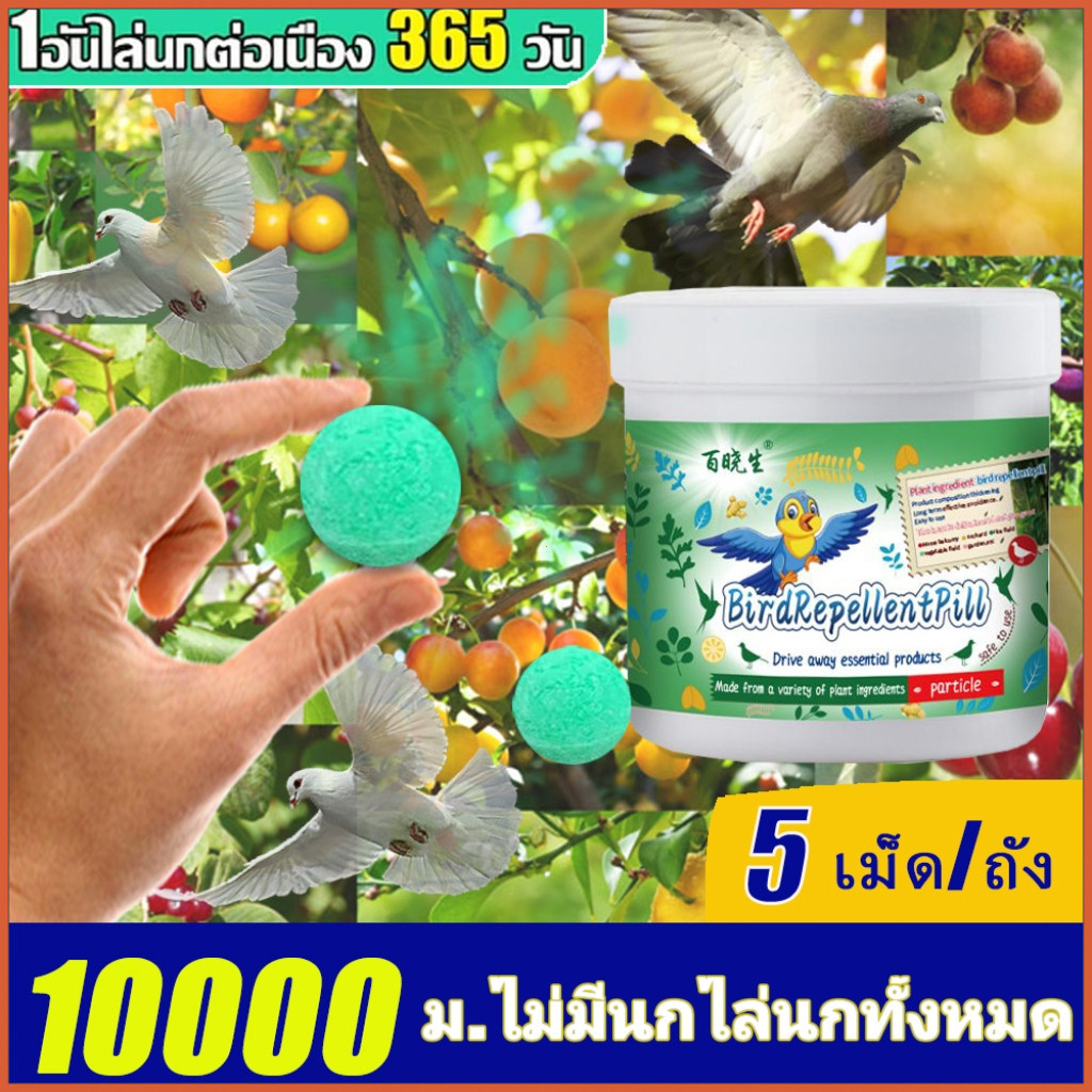 แผ่นไล่นก [กันแดด กันฝน] ติดตั้งง่าย ไล่นกพิราบและนกทุกชนิดได้ดี แพ็คละ 5 ชิ้น