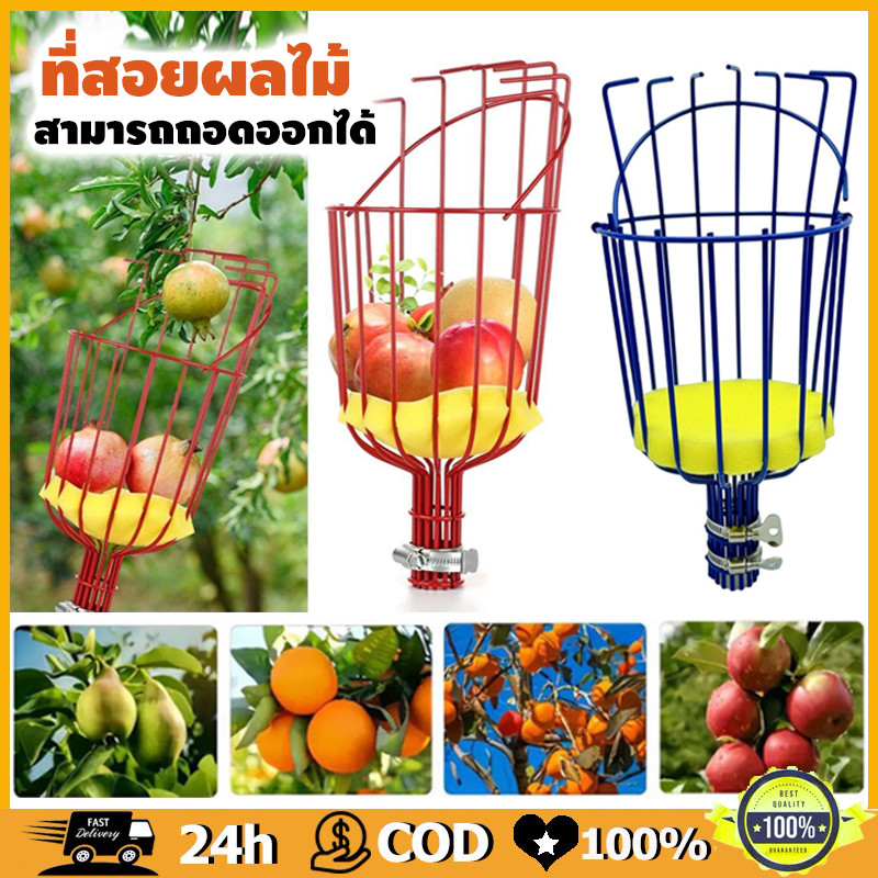 ที่สอยผลไม้ สามารถถอดออกได้ ที่สอยมะม่วง ตะกร้าลึก ที่สอยผลไม้ ฟองน้ำในตัวป้องกันผลไม้บอบช้ำ