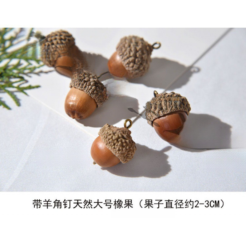 อุปกรณ์เสริม Acorn Claw Hand-Made Acorn Nail ผลไม้แห้งธรรมชาติมาก DIY Real Petal JBDV