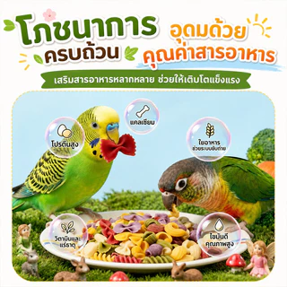 อาหารนกแก้ว อาหารนกผักและผลไม้ขนมขบเคี้ยวฟันกราม คุกกี้ของว่างสำหรับนกแก้ว กรอบอร่อย รางวัลการฝึกซ้อม 200g