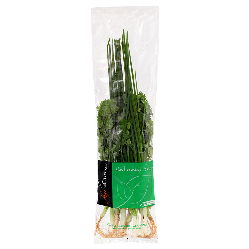 มายช้อยส์ชุดต้นหอมผักชี 30ก My Choice Coriander Spring Onion 30g [หมายเลขบาร์โค้ด 0000021880964 ]