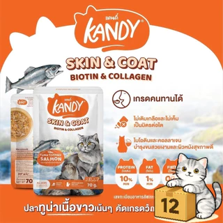 ( ยกโหล 12 ซอง ) Kandy แคนดี้ อาหารแมว เปียกแมว ไม่ใส่เกลือ จากปลาเนื้อขาว โปรตีนสูง ลูกแมวและแมวโต