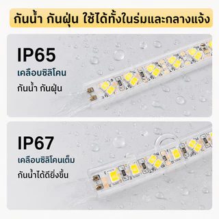 ไฟเส้น LED 5730 สว่างพิเศษ กันน้ำ IP67 ไฟเส้น 220V แถวคู่ 120/เมตร สำหรับบ้าน ร้านค้า และงานกลางแจ้ง พร้อมปลั๊กและหัวปิด