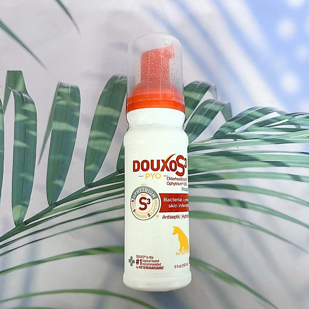 (Douxo®) Dog Skin Care Mousse Waterless Formula 150ml แชมพู สำหรับสุนัข เนื้อมูส ไม่ต้องล้างออก