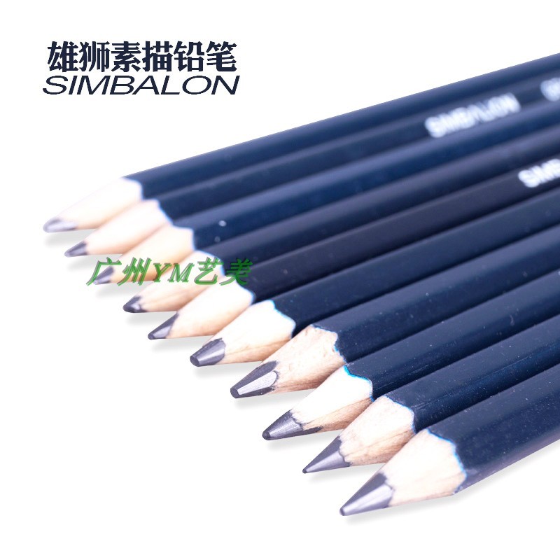 Lion Drawing Sketch Pencil Drawing Pencil Art Supplies 2B 3B 4HB Drawing Pencil Exam Pen