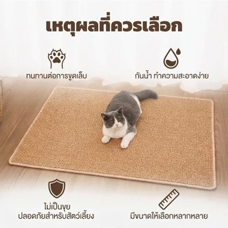 VELOREE แผ่นขูดแมว เสื่อพรมแมว ที่ลับเล็บแม ทนต่อรอยขีดข่วน ป้องกันเฟอร์นิเจอร์ สามารถล้างได้ พรมลับเล็บแมว
