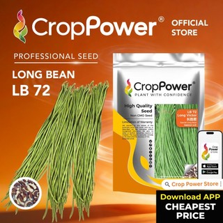 HOT ITEM🔥 (200 GRAM) Biji Benih Kacang Panjang Long Victor 长胜君  LB72 CROP POWER Long bean seeds 长豆种子 LB 72 豆角种子