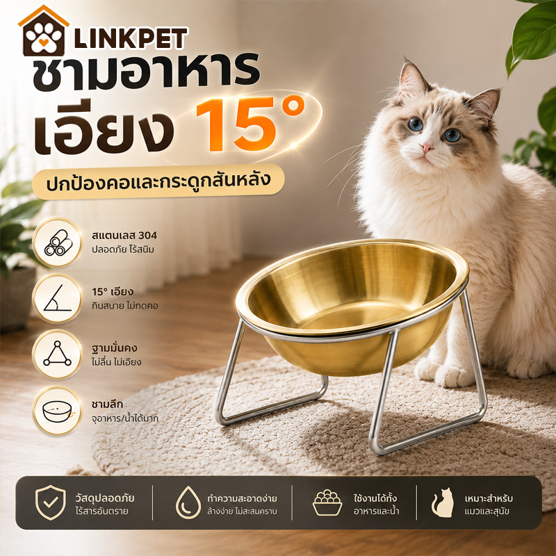 ชามอาหารแมวสีทอง ชามแมวสแตนเลส ที่ใส่อาหารแมว ยกสูง สแตนเลส การสนับสนุนที่มั่นคง ทำความสะอาดง่าย ﻿