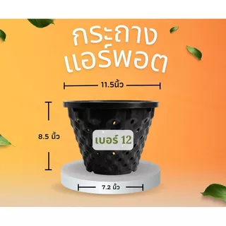 กระถางแอร์พอต Air Pot เบอร์ 12 กระถางมีรู เร่งราก สีดำ / สีขาว