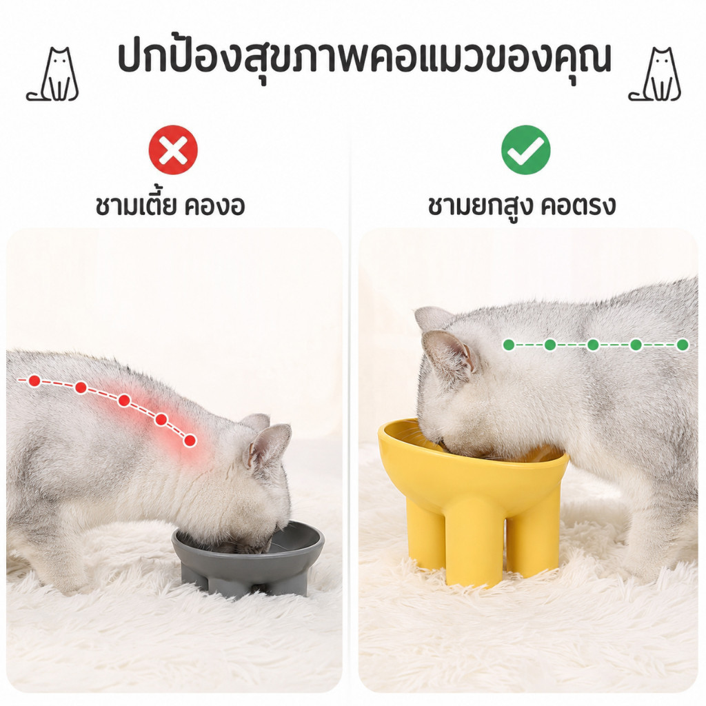 ชามกันมด แมว ชามอาหารแมว ชามอาหารสัตว์เลี้ยง ทรงเฉียง รูปที่ 4