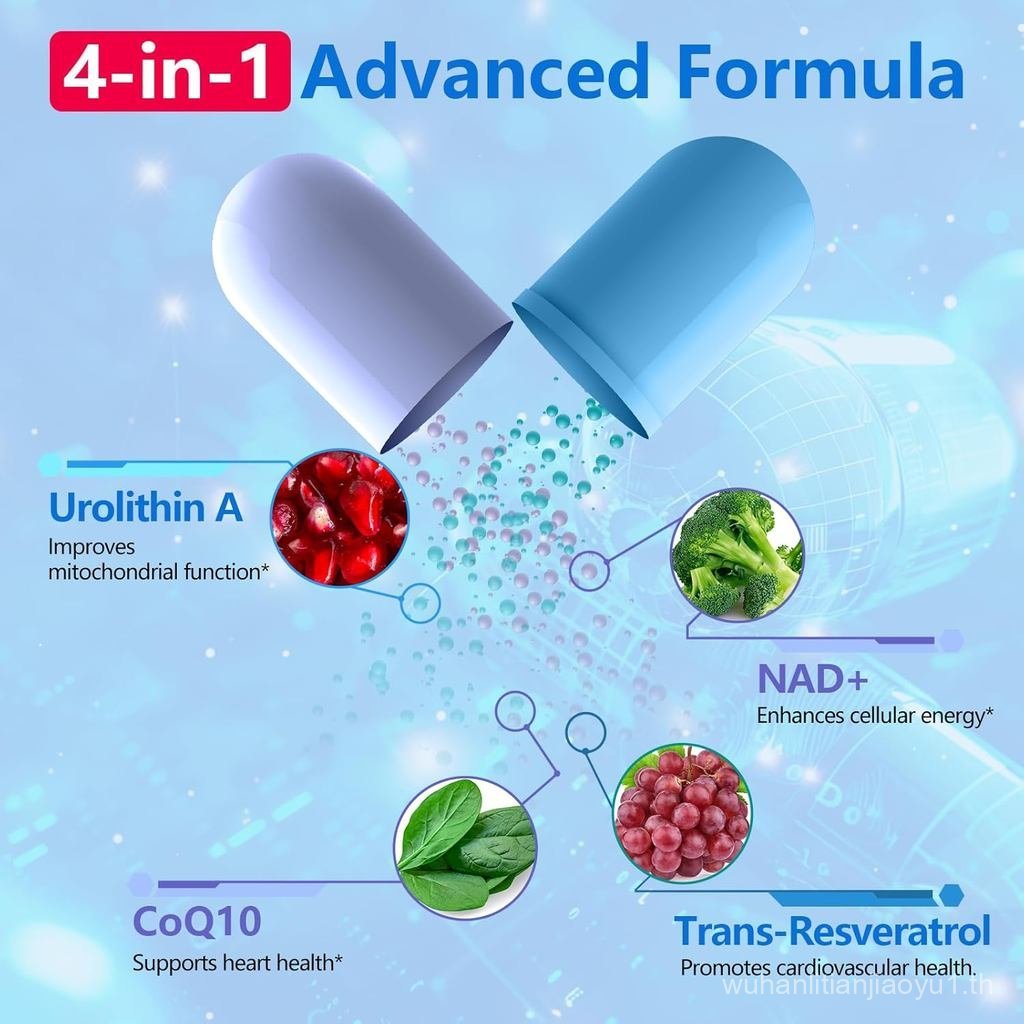 InGreens Urolithin A 1000mg พร้อม NAD+ 300mg รูปที่ 4