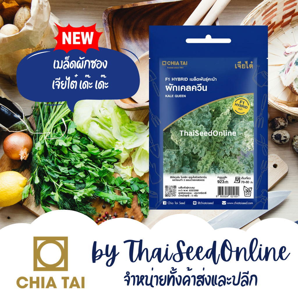 CTSE เมล็ดพันธุ์ คะน้า เคล ควีน 5 กรัม ตราเจียไต๋ Queen Kale Seeds