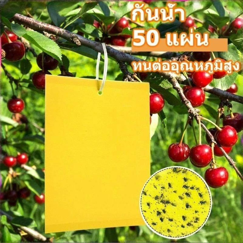 แผ่นดักแมลงเหนียว แผ่นสองด้านสีเหลือง กระดานสีฟ้าสำหรับเรือนกระจกดักแมลงที่มีชื่อเสียงของเกษตรกร