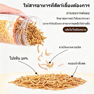 หนอนอบแห้ง แฮมเตอร์ หนอนอาหาร อาหารชูก้า โปรตีนสูงคุณภาพสูง ดูดซึมสารอาหารได้ดี อาหารหนูแฮมเตอร์