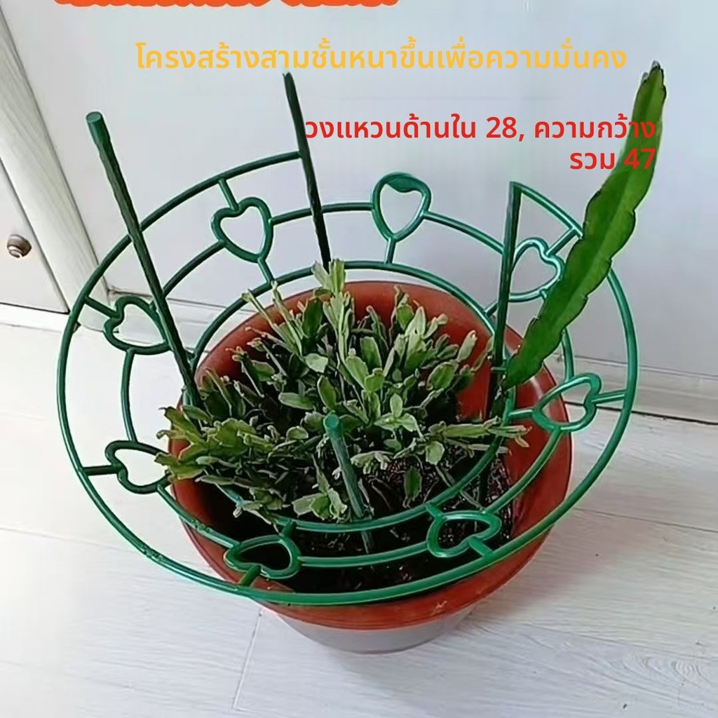 โครงพยุงต้นไม้แบบวงกลม 47 ซม. สำหรับไม้เลื้อยในกระถาง ช่วยพยุงกิ่ง จัดทรงต้นไม้ให้เป็นระเบียบ