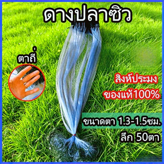 ดางปลาซิว อวนปลาซิว ตาถี่ 1.3 1.5 ตาข่ายดักปลา จับปลา มอง อวน ดัก ข่าย ปลาซิว ดักปลา ใยบัว ติดทุ่น