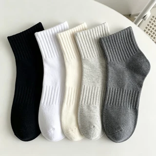 MODENFASHION ถุงเท้าผู้ชายข้อสั้น ถุงเท้าแฟชั่นเกาหลี (แพ็ค /10คู่) freesize s. 35-44
