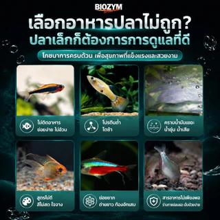 BIOZYM Mini อาหารปลาพรีเมียม สำหรับปลาสวยงาม โปรตีนสูง วิตามินครบ ช่วยเสริมการเจริญเติบโตและสีสันสดใส COD