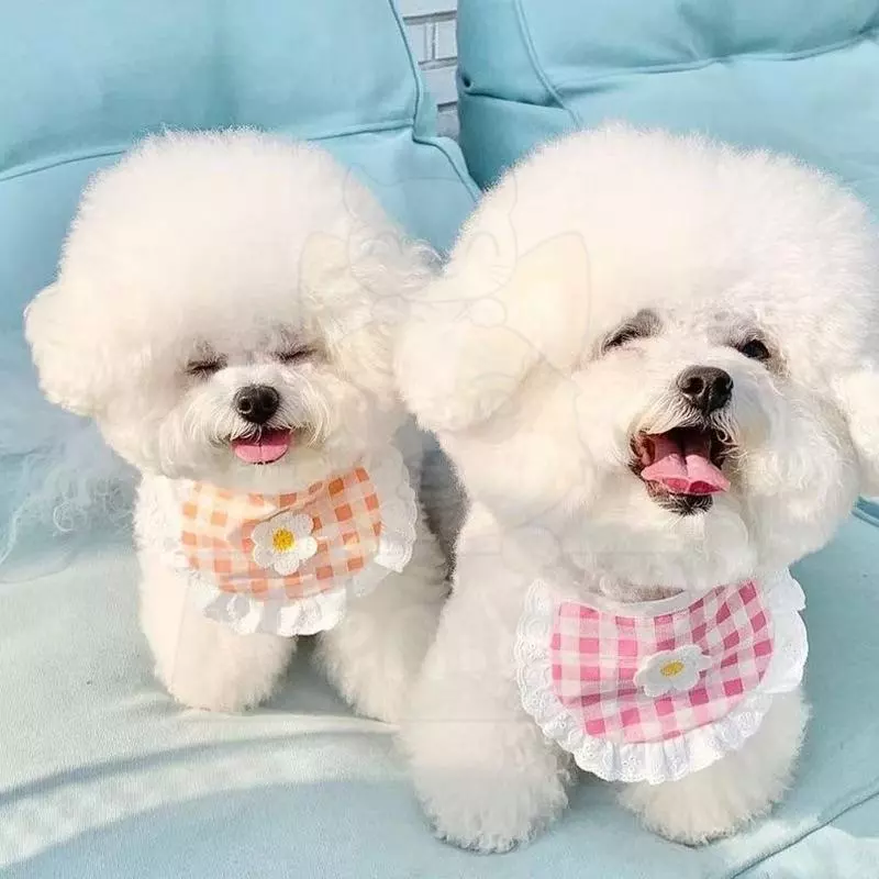 wen.W2 🐶🐱ผ้าบิบกันเปื้อนน้องหมาน้องแมว ลายคาวาอิ หน้าร้อน ระบายอากาศ ปรับได้ น่ารักสุดๆ💦