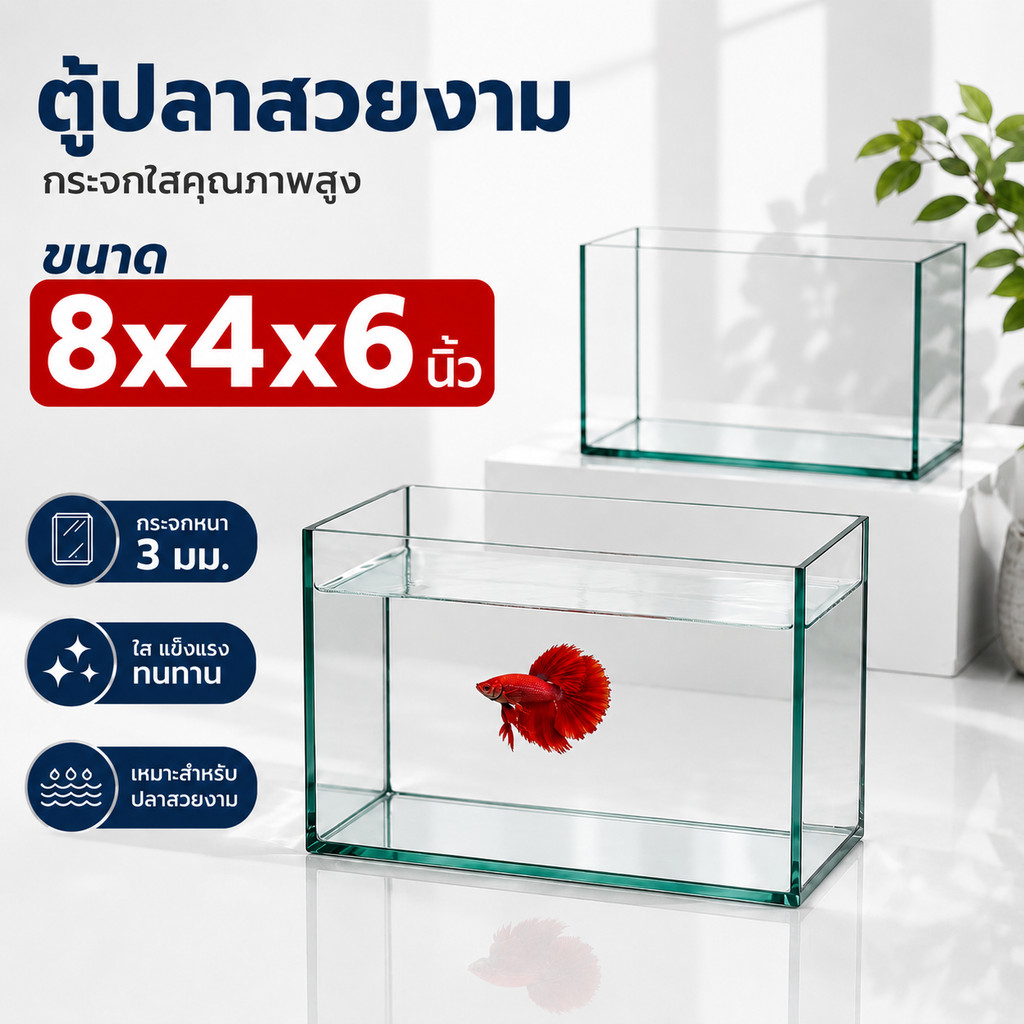 ตู้ปลาสวยงาม ขนาด 8x4x6 นิ้ว กระจกหนา 3 มม. โหลปลากัด ตู้เลี้ยงปลากัด ตู้ไม้น้ำมินิมอล โหลปลากัด