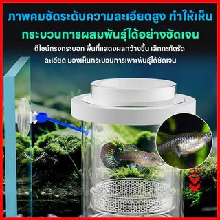 กล่องฟักไข่ปลาที่ลอยได้ กล่องคลอดปลา กล่องฟักลอย ปกป้องไข่ปลา เพิ่มอัตราการรอดชีวิตของปลา เสถียรไม่พลิกด้านง่าย