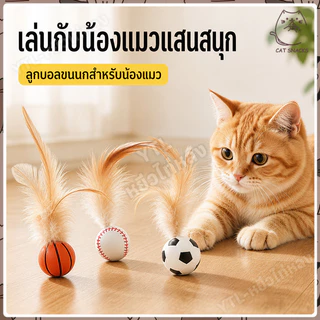 YTL 😺ลูกบอลแมว ของเล่นแมว ของเล่นเเมว บอลแมว ลูกบอลโต้ตอบ เล่นได้ทั้งวัน กระตุ้นการออกกำลั