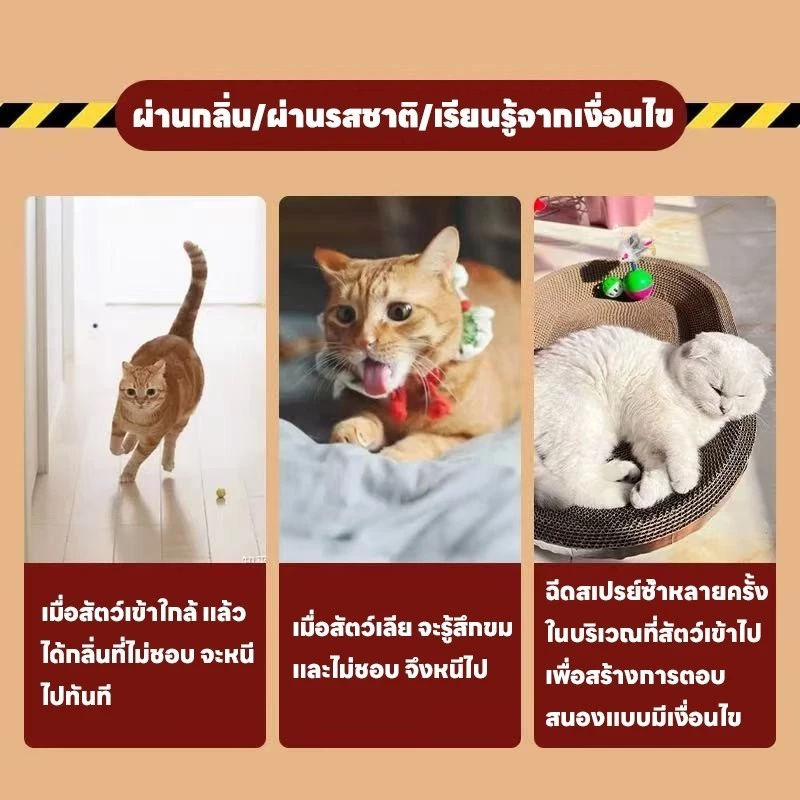 สเปรย์ป้องกันสัตว์เลี้ยงปัสสาวะไม่เป็นที่ ไล่แมว ไล่สุนัข thumbnail 5