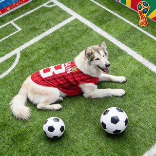 2026 เสื้อสัตว์เลี้ยงฟุตบอลโลกสําหรับสุนัขและแมวสไตล์อย่างเป็นทางการเสื้อทีมฟุตบอลสุนัขตาข่ายผ้าเสื้อกั๊ก