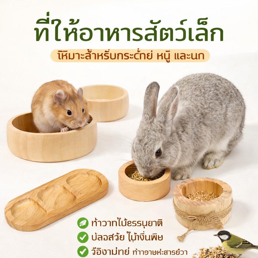 ถ้วยไม้ใส่อาหาร ธรรมชาติ ชามอาหารสัตว์เล็ก ถ้วยอาหารแมว สำหรับแฮมสเตอร์ กระต่าย ชินชิล่า