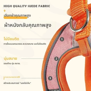 สายจูงแมว สายรัดอกแมว เชือกจูงสัตว์เลี้ยง สะท้อนแสง ปรับได้ กันหลุด นุ่มสบาย แมว หมา เดินเล่น