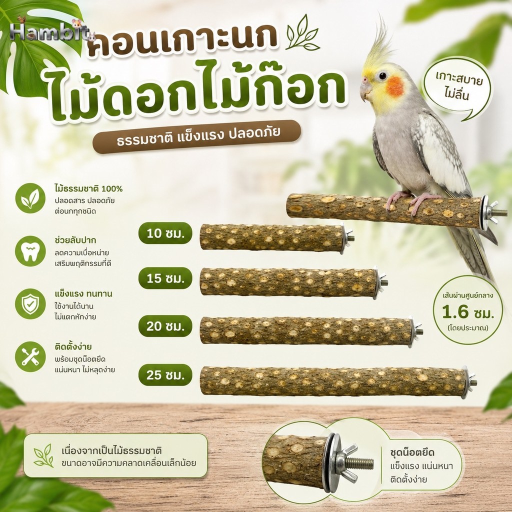 Hambit. คอนเกาะนก ไม้ดอกไม้ก๊อก คอนไม้ธรรมชาติ 100% สำหรับนกแก้ว นกขุนทอง คอนนกติดกรงพร้อมน็อตยึด