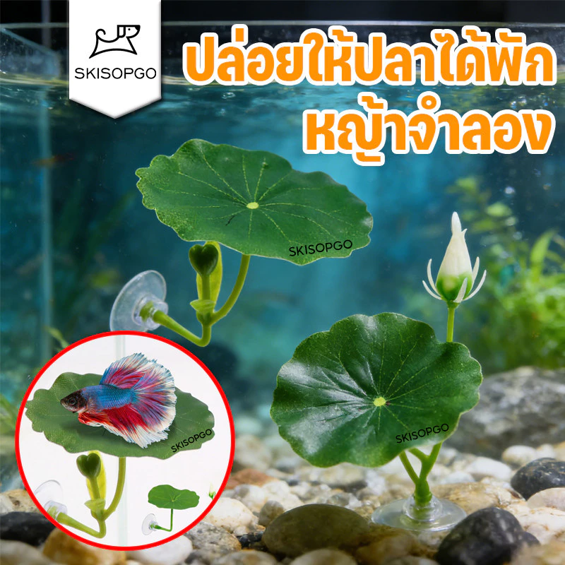 SKISOPGO การตกแต่งตู้ปลา ใบบัวจำลอง ที่นอนใบไม้สําหรับปลากัด หญ้าจำลอง นอนเล่นวางไข่ ทำให้ตู้ปลาสวยขึ้น