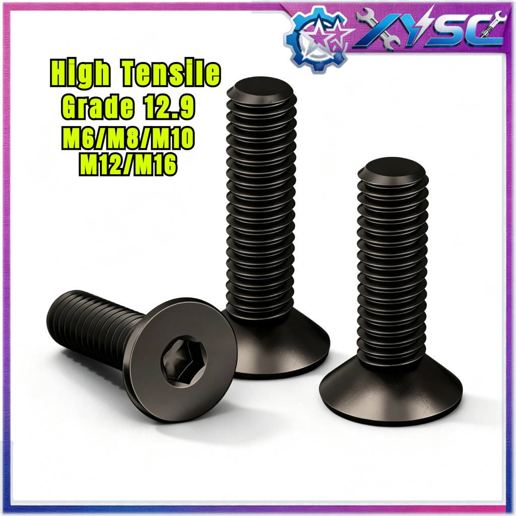 น็อต สกรู หัวจม เตเปอร์ เหล็กแข็ง 12.9 เกลียวมิล หยาบ /Flat Head Hex Socket Machine Screw Grade 12.9 M6/M8/M10/M12/M16 * L8-100 มม.H8-xy5