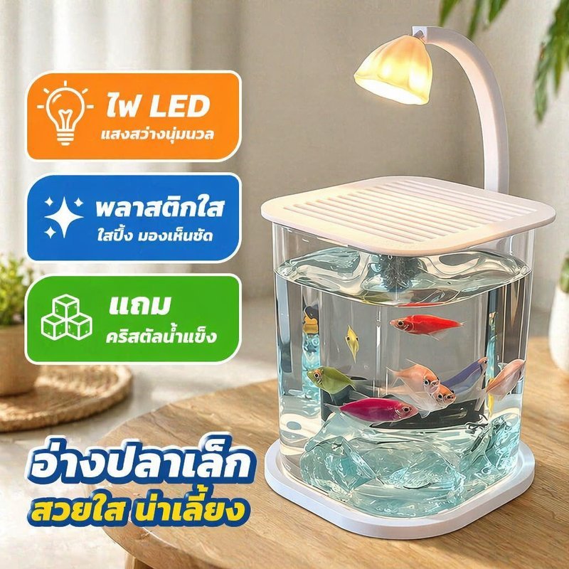 ตู้ปลากัด อ่างปลาใส ตู้ปลาเล็ก พลาสติกใส ไฟ LED ระบบกรองน้ำ ตั้งโต๊ะ แต่งบ้าน ปลาสวยงาม