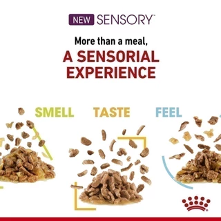 ( รวมรส 12 ซอง ) Royal Canin โรยัล คานิน Sensory multi Pack รวม 3 แบบ Taste Smell Feel เปียกแมว