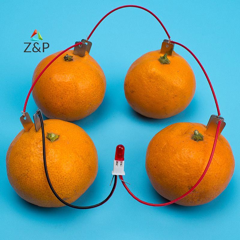 Z&P 1 ชุดเด็ก Bio Energy Science Kit Potato Fruit Supply การทดลองไฟฟ้า COD
