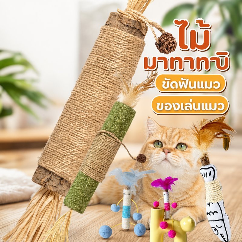 ไม้มาทาทาบิ แมว ของเล่นแมว ไม้ขัดฟันแมว กัดแทะ ลดหินปูน ซิลเวอร์ไวน์ ก้านมาทาทาบิ