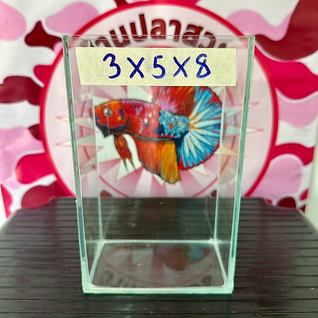 โหลปลากัด 3x5x8 นิ้ว กระจกหนา 3 มิล กาวใส