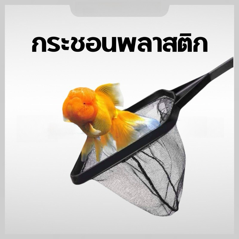 กระชอนตักเหลี่ยม ที่ตักปลาเนื้อดี โครงพลาสติก Blissora