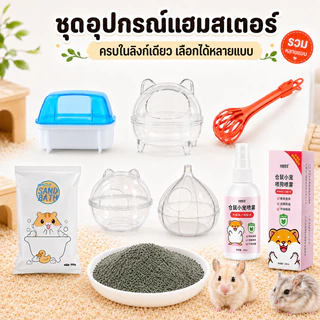 ห้องน้ำสัตว์เลี้ยงแบบใส ห้องน้ำหนูแฮมเตอร์ ห้องน้ำแฮมเตอร์ ห้องน้ำอะคริลิค เจอร์บิล ดอร์เม้าส์ ไจแอนท์ แบบใส 360 องศา